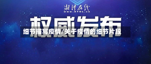 细节描写疫情/关于疫情的细节片段-第3张图片