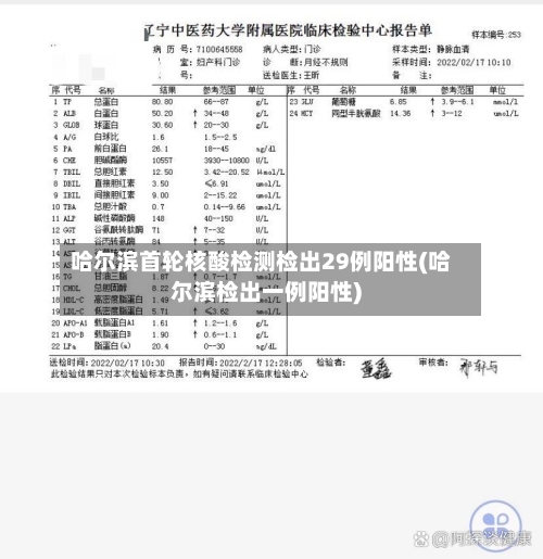 哈尔滨首轮核酸检测检出29例阳性(哈尔滨检出一例阳性)-第1张图片
