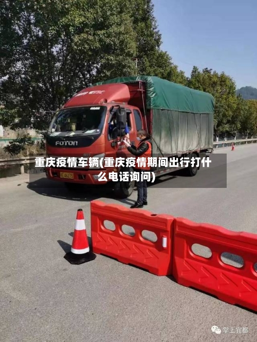 重庆疫情车辆(重庆疫情期间出行打什么电话询问)-第3张图片