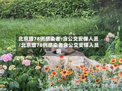 北京增78例感染者:含公交安保人员/北京增78例感染者含公交安保人员吗-第1张图片