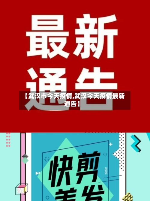 【武汉市今天疫情,武汉今天疫情最新通告】-第2张图片