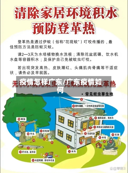 疫情怎样广东/广东疫情如何-第3张图片
