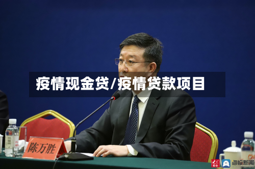 疫情现金贷/疫情贷款项目-第1张图片