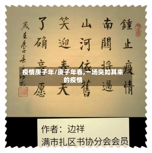 疫情庚子年/庚子年春,一场突如其来的疫情-第2张图片