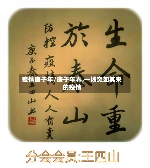 疫情庚子年/庚子年春,一场突如其来的疫情-第1张图片