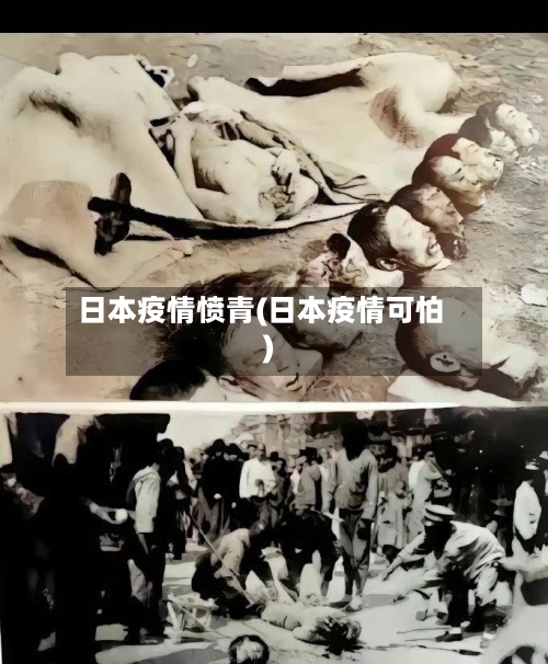 日本疫情愤青(日本疫情可怕)-第1张图片