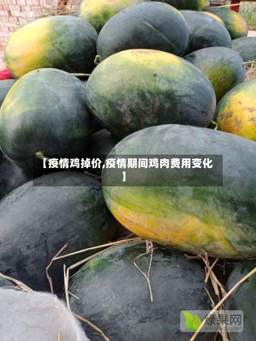 【疫情鸡掉价,疫情期间鸡肉费用变化】-第2张图片