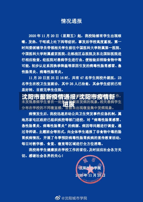 沈阳市最新疫情通报/沈阳市疫情新进展-第2张图片