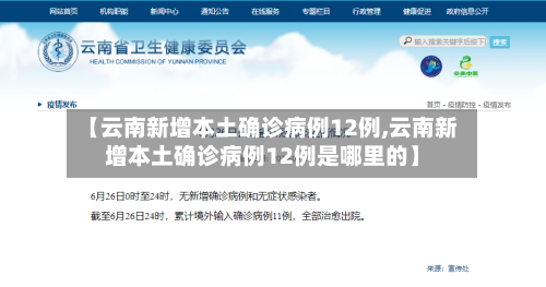 【云南新增本土确诊病例12例,云南新增本土确诊病例12例是哪里的】-第2张图片
