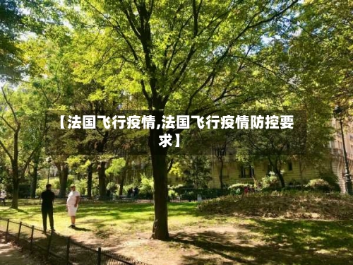 【法国飞行疫情,法国飞行疫情防控要求】-第3张图片