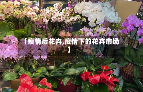 【疫情后花卉,疫情下的花卉市场】-第1张图片