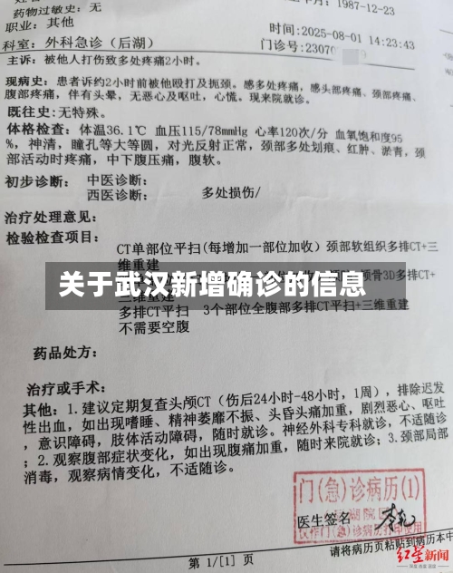关于武汉新增确诊的信息-第1张图片