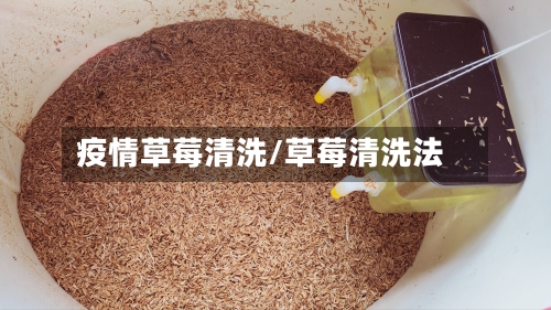 疫情草莓清洗/草莓清洗法-第3张图片