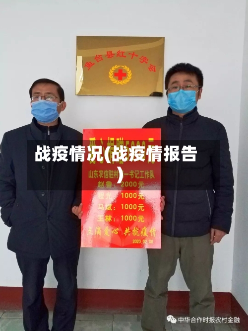 战疫情况(战疫情报告)-第2张图片